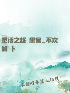 重活之超級黑客