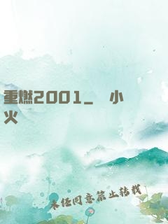 重燃2001
