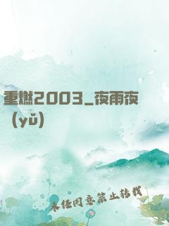 重燃2003