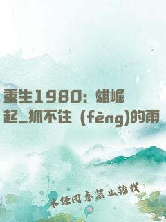 重生1980:梟雄崛起