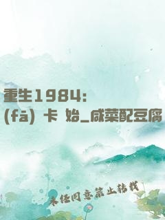 重生1984：從開發(fā)漢卡開始