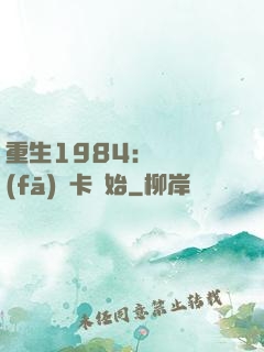 重生1984：從開發(fā)漢卡開始
