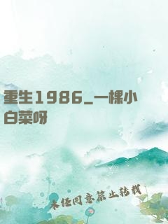 重生1986