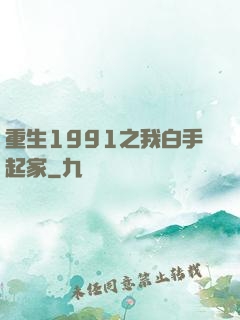 重生1991之我白手起家