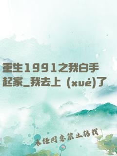 重生1991之我白手起家