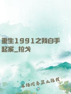 重生1991之我白手起家