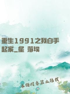 重生1991之我白手起家