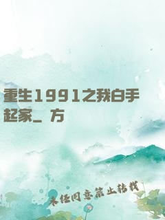 重生1991之我白手起家