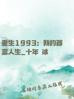 重生1993：我的首富人生