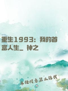 重生1993：我的首富人生