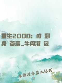 重生2000：咸魚翻身變首富