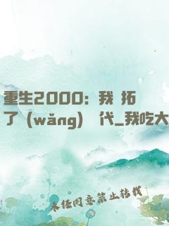 重生2000：我開拓了網(wǎng)絡時代