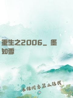 重生之2006
