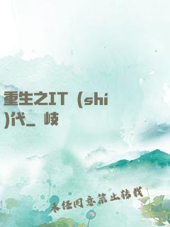 重生之IT時(shí)代