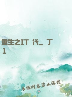 重生之IT時代