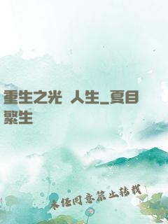 重生之光輝人生