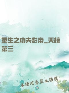 重生之功夫影帝
