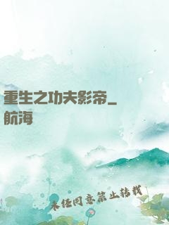 重生之功夫影帝