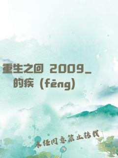 重生之回檔2009