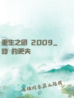 重生之回檔2009