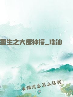 重生之大唐神探
