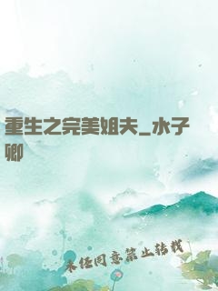 重生之完美姐夫