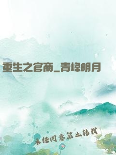 重生之官商
