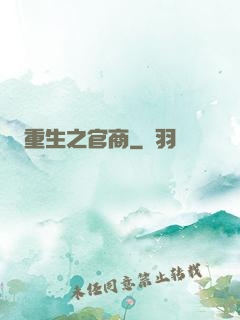 重生之官商