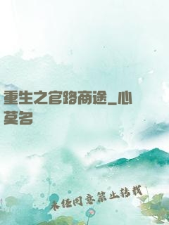 重生之官路商途
