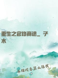 重生之官路商途