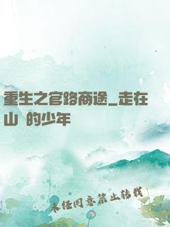重生之官路商途