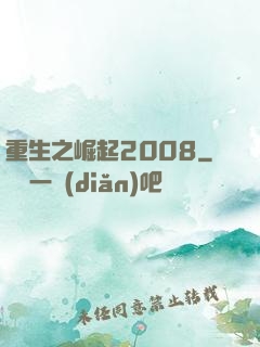 重生之崛起2008