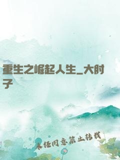重生之崛起人生