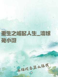 重生之崛起人生
