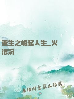 重生之崛起人生