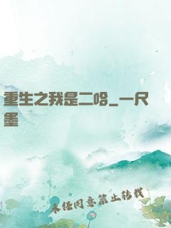 重生之我是二哈