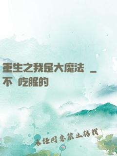 重生之我是大魔法師