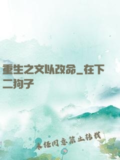 重生之文以改命