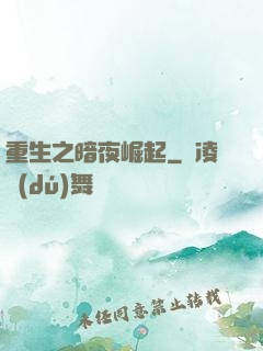 重生之暗夜崛起