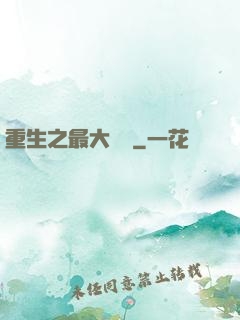重生之最大財團