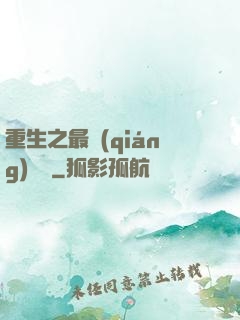 重生之最強(qiáng)盜賊