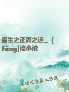 重生之正妻之道