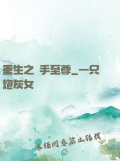 重生之殺手至尊
