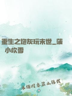 重生之炮灰玩末世