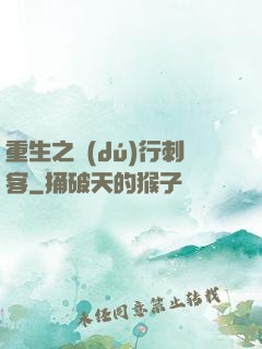 重生之獨(dú)行刺客