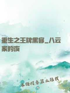 重生之王牌黑客