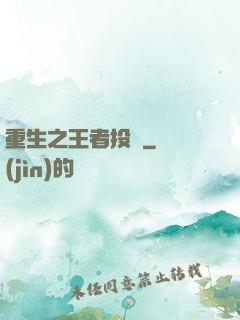 重生之王者投資