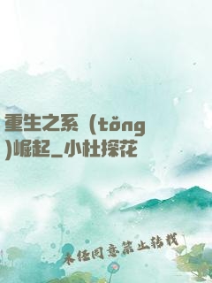重生之系統(tǒng)崛起