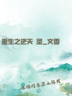 重生之逆天盜圣