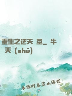 重生之逆天盜圣